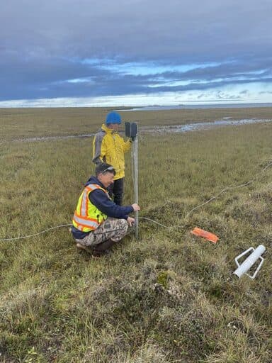 BeadedStream sensor before repair